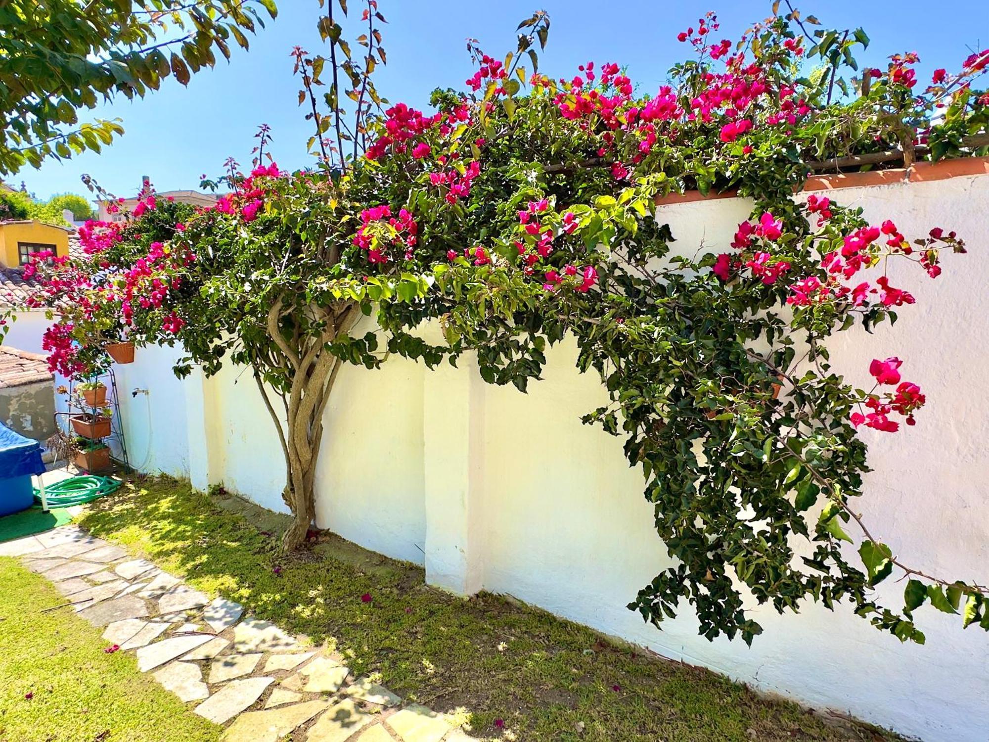 Casa Do Candeeiro Óbidos Zewnętrze zdjęcie